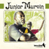 Chronique CD JUNIOR MURVIN - Inna de Yard