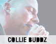 Album photo  : Collie Buddz @ Cabaret sauvage