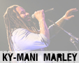 Album photo  : Ky-Mani Marley - Lyon 2015