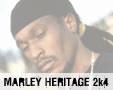 Album photo  : Marley Heritage festival 2004