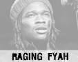 Album photo  : Raging Fyah 2015